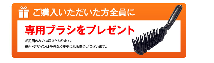 ご購入いただいた方全員に専用ブラシをプレゼント