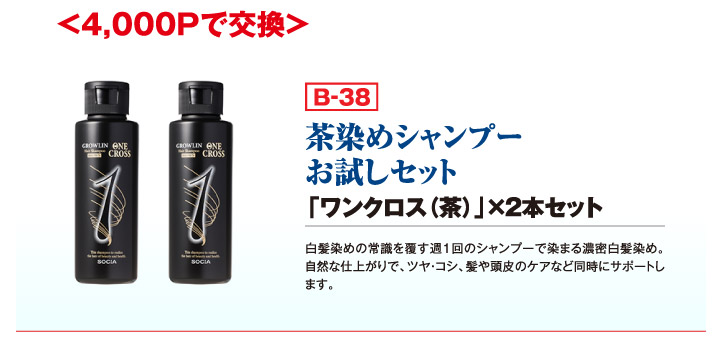 ＜4,000Pで交換＞