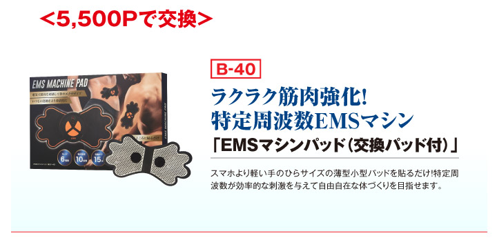 ＜5,500Pで交換＞