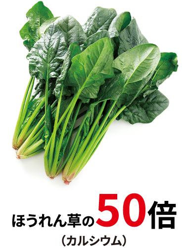 ほうれん草の50倍