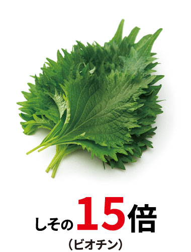 しその15倍