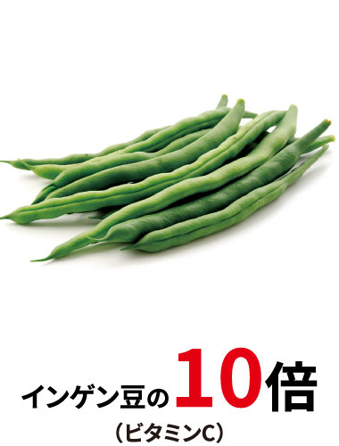 インゲン豆の10倍