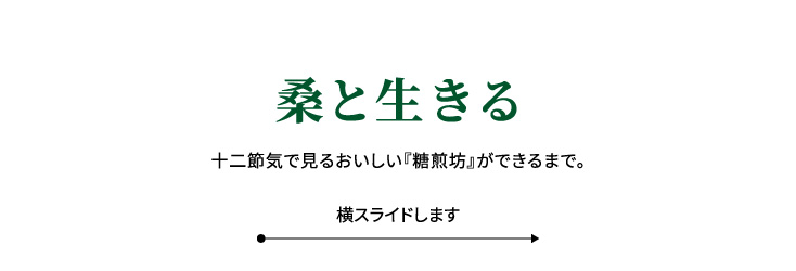 桑と生きる