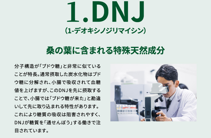 1.DNJ（1-デオキシノジリマイシン）