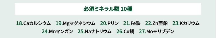必須ミネラル類 10種