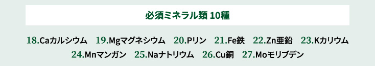 必須ミネラル類 10種