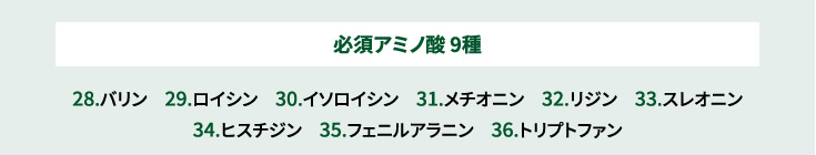 必須アミノ酸 9種