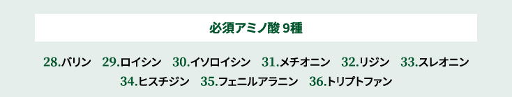 必須アミノ酸 9種